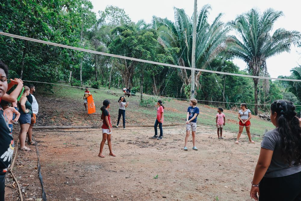 Volleyball court surrounded by palms