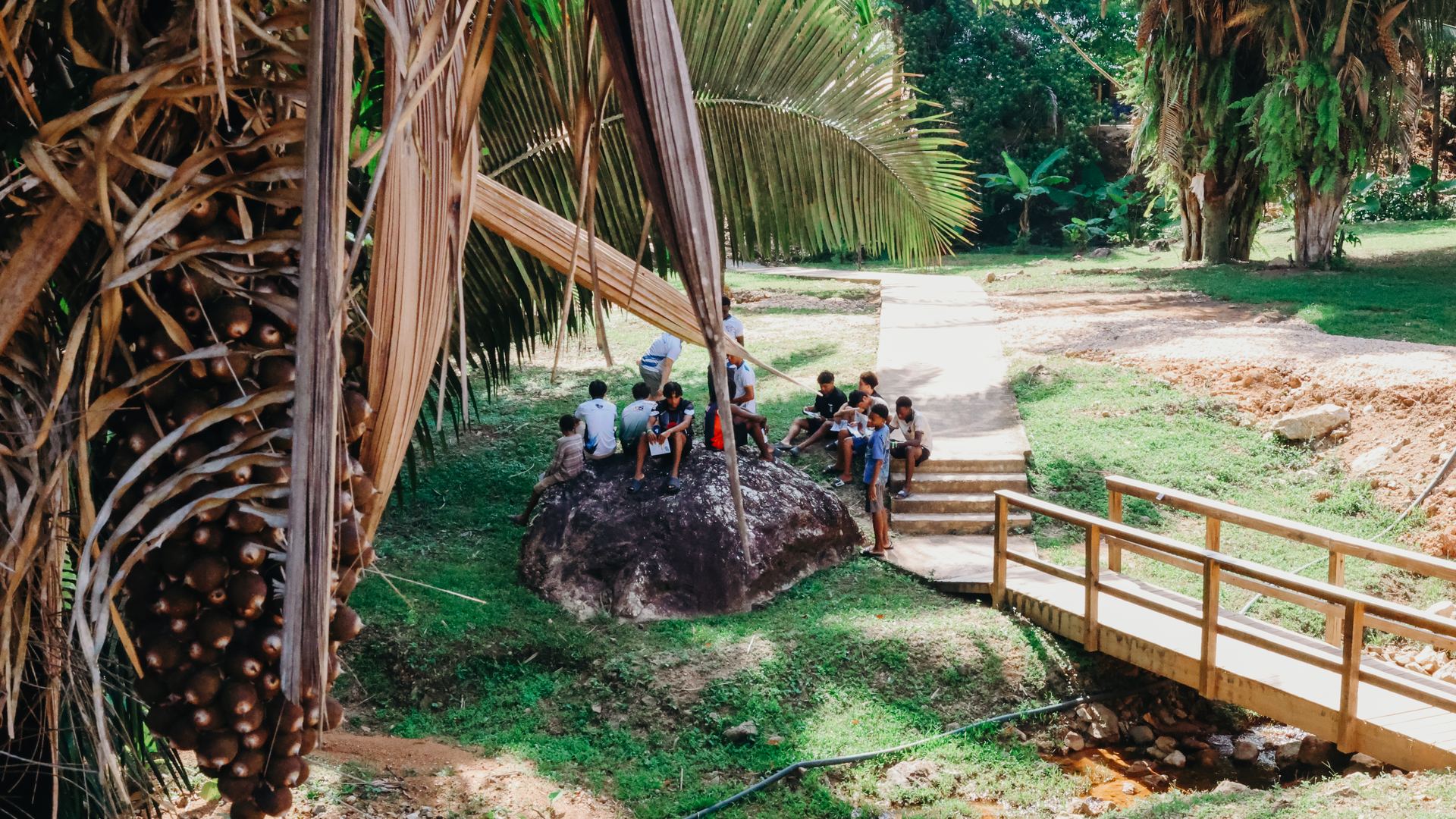 Footbridge and creek in the palm grove at The Peak