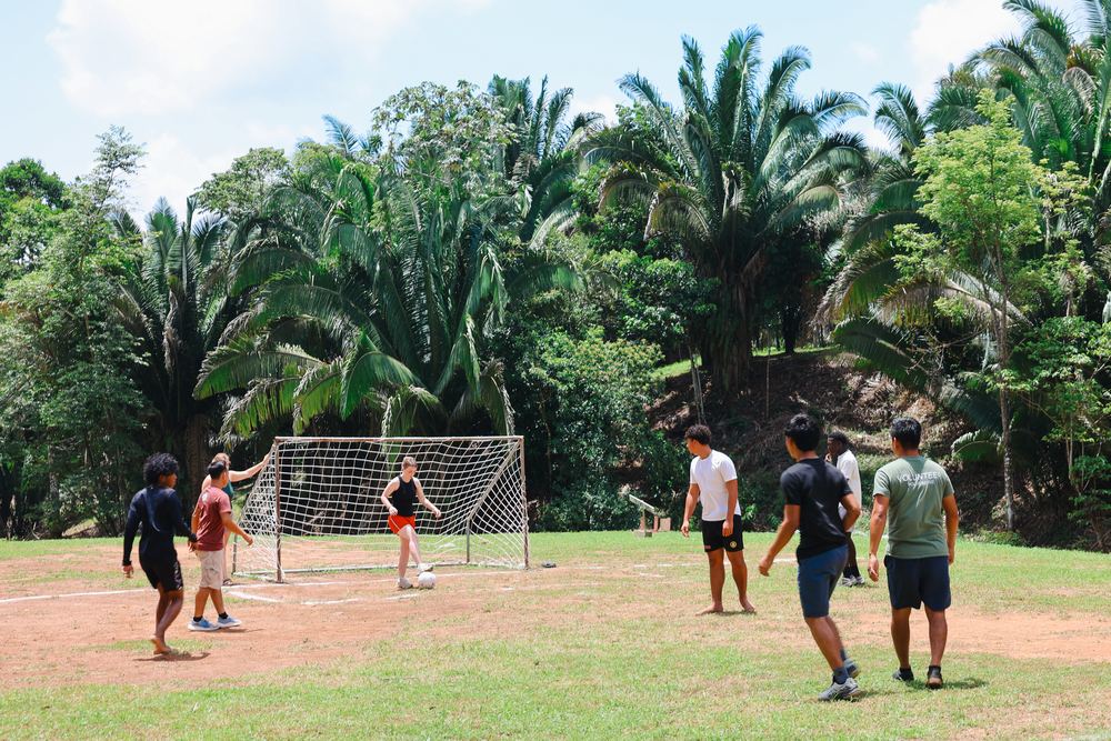 Field ringed by palms at The Peak